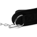 Cinturón de lastre
